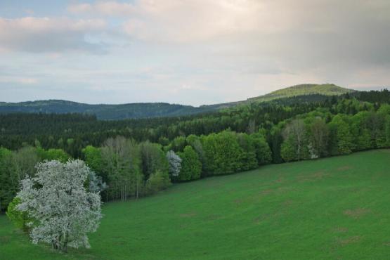 Rozhledna Milíře u Rozvadova - severovýchodní výhled