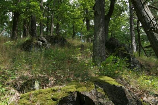 Přírodní rezervace Chlum 2