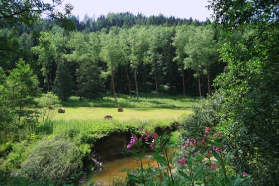 Přírodní rezervace Lazurový vrch