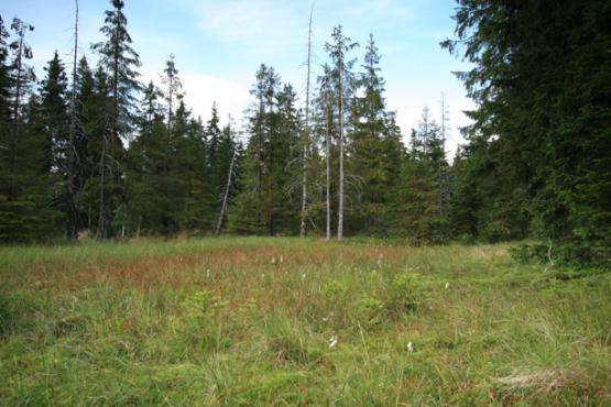 Přírodní rezervace Malé jeřábí jezero 2