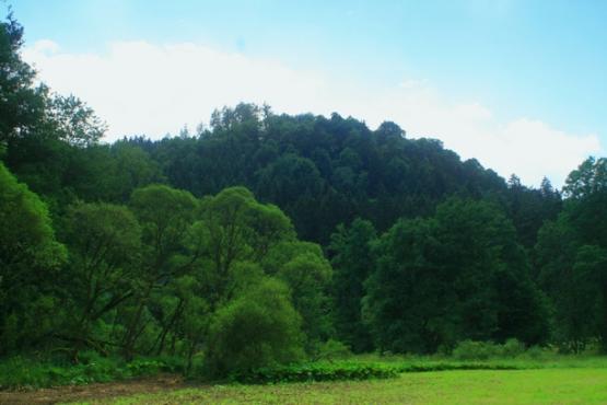 Přírodní rezervace Lazurový vrch 2