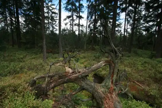 Přírodní rezervace Oceán