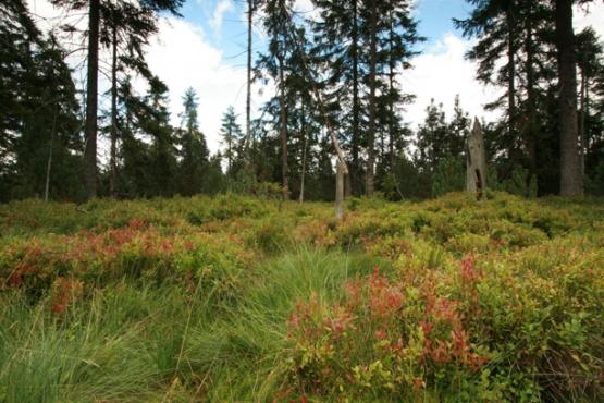 Přírodní rezervace Oceán 2