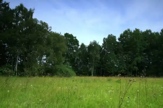 Přírodní památka Maršovy Chody 2