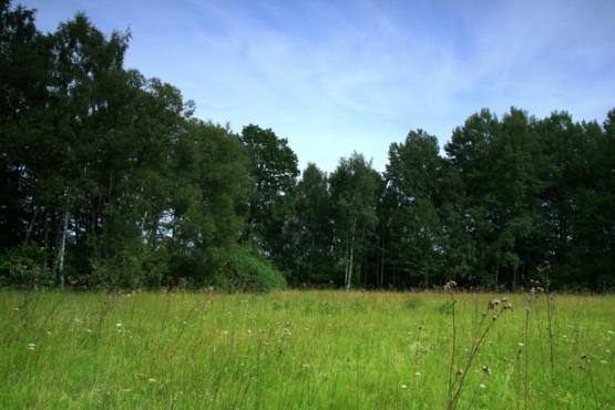 Přírodní památka Maršovy Chody 2