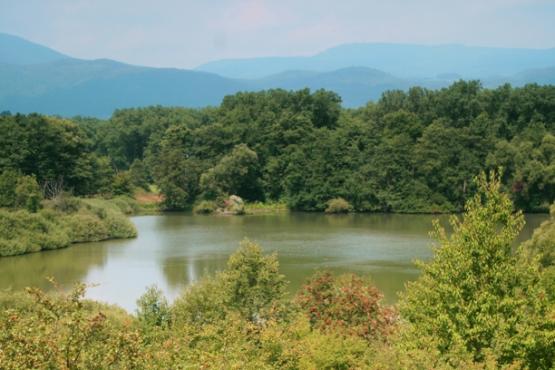 Přírodní rezervace Ostrovské rybníky