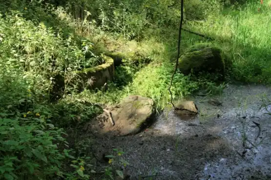 Přírodní památka Prameniště Kateřinského potoka