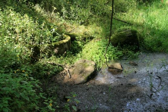 Přírodní památka Prameniště Kateřinského potoka