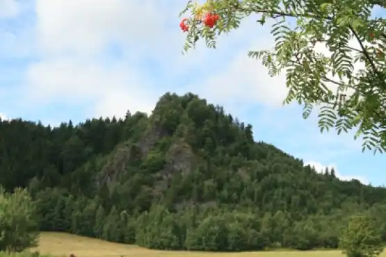 Přírodní rezervace Olšová vrata (Šemnická skála) 2