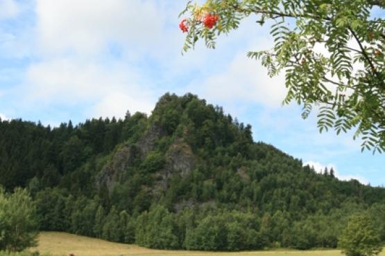 Přírodní rezervace Olšová vrata (Šemnická skála) 2