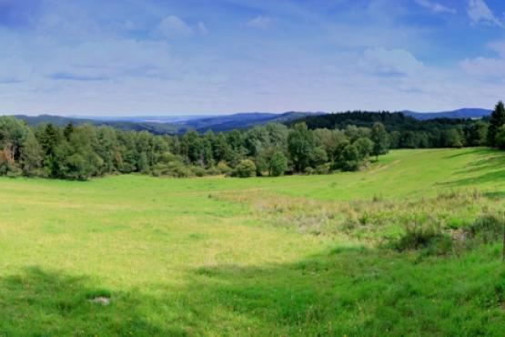 Přírodní památka Prameniště Kateřinského potoka 2