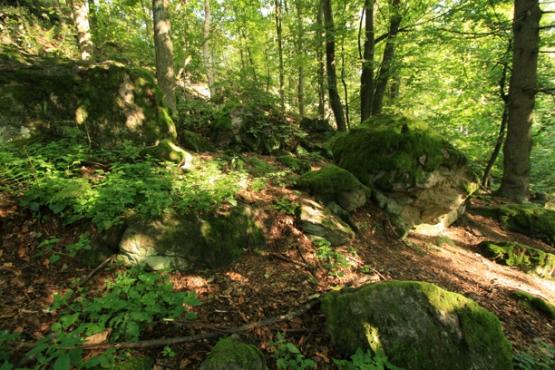 Přírodní rezervace Přimda