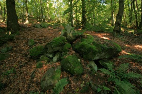 Přírodní rezervace Přimda 2