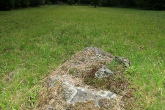 Přírodní památka Žďár u Chodského Újezda