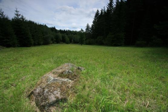 Přírodní památka Žďár u Chodského Újezda 2