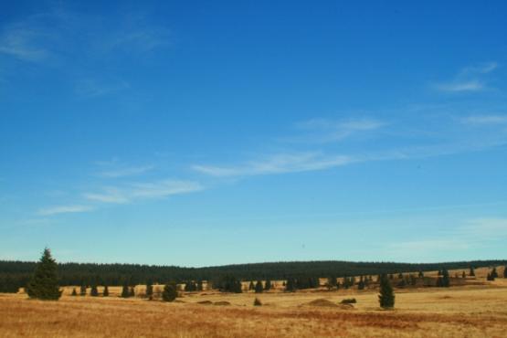 Národní přírodní rezervace Božidarské rašeliniště 2