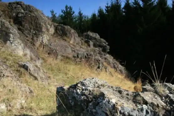 Přírodní památka Dominova Skalka 2