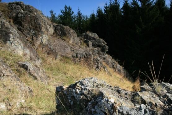 Přírodní památka Dominova Skalka 2