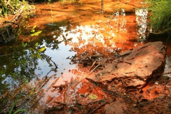 Přírodní památka Pramen Čiperka 2