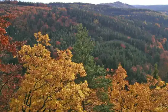 Vyhlídka Karla IV. - výhled na lázeňské lesy