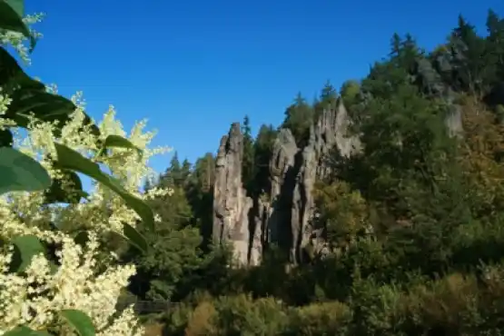 Národní přírodní památka Jan Svatoš (Svatošské skály) 2