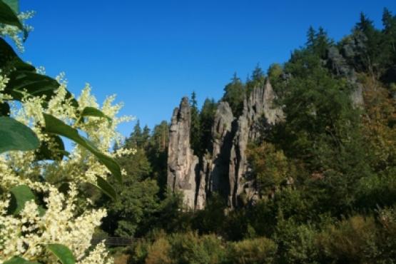 Národní přírodní památka Jan Svatoš (Svatošské skály) 2