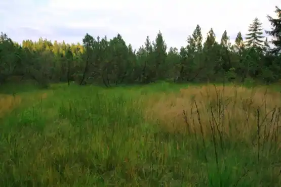 Národní přírodní rezervace Velký močál 2