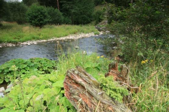 Přírodní rezervace Údolí Teplé