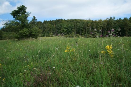 Přírodní památka Valeč 2