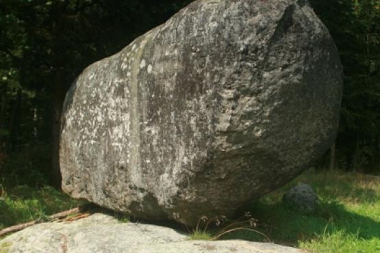 Přírodní památka Viklan Dominik 2