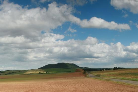 Přírodní rezervace Vladař