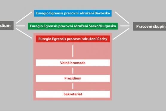 Organizační struktura