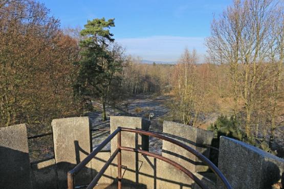 Rozhledna Salingburg ve Františkových Lázních - výhled Kapellenberg