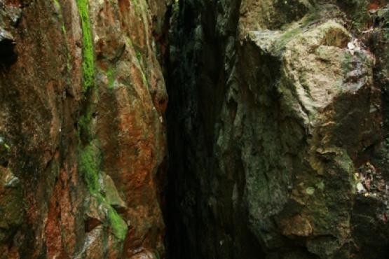 Přírodní památka Vlčí jámy 2