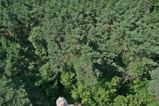 Rozhledna na Krásenském vrchu - vnější schodiště a údolí Sádky