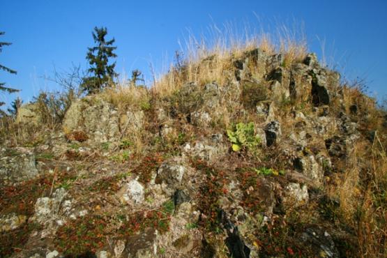 Přírodní památka Homolka