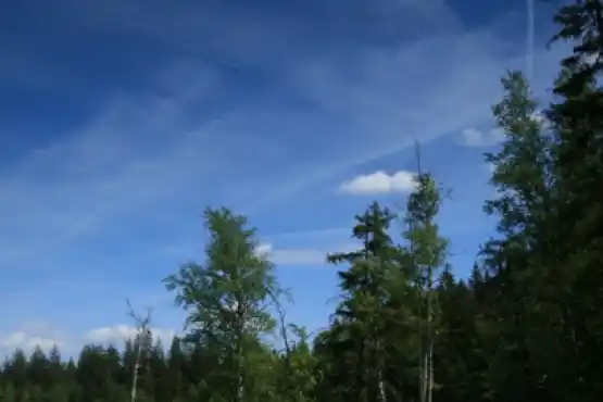 Národní přírodní rezervace Kladské rašeliny