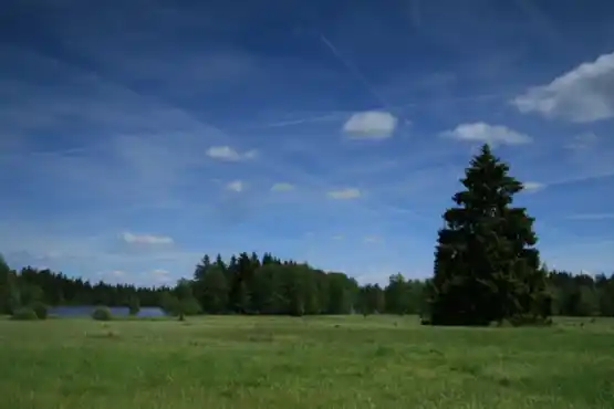 Národní přírodní rezervace Kladské rašeliny 2