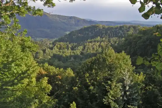 Rozhledna věž Horní hrad - Hornohradské údolí od kaple
