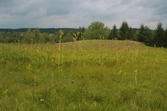 Přírodní památka Hořečková pastvina na Pile 2