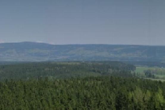 Panská rozhledna - výhled na Lázně Kynžvart a Drmoul