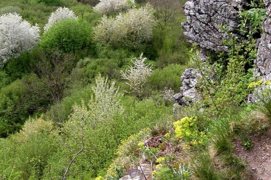 Vyhlídka Krasíkov - pod Krasíkovem