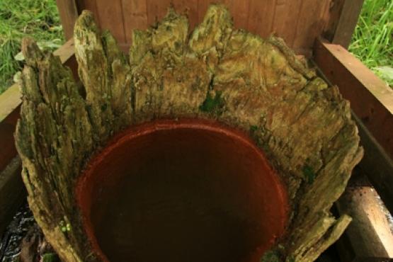 Přírodní památka Koňský pramen