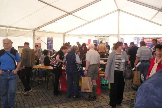 Burza propagačních materiálů v Chebu 2010