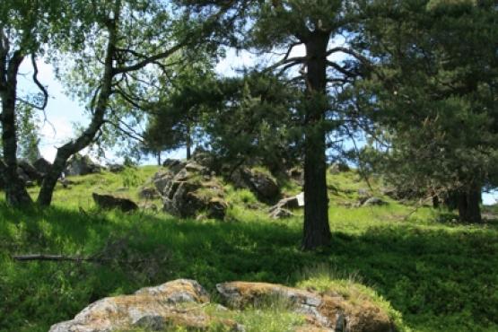 Národní přírodní památka Křížky