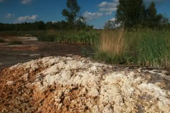 Národní přírodní rezervace SOOS