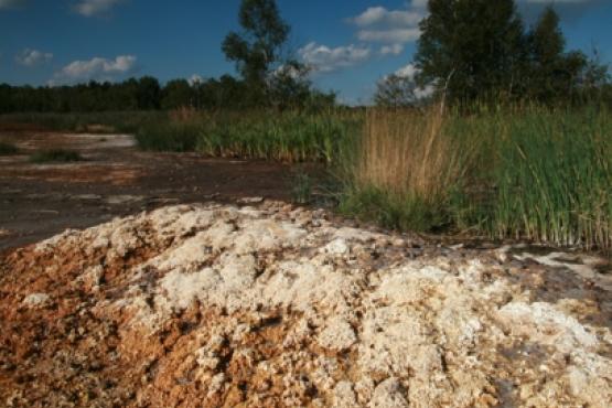 Národní přírodní rezervace SOOS