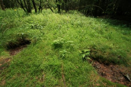 Přírodní památka Milhostovské mofety 2