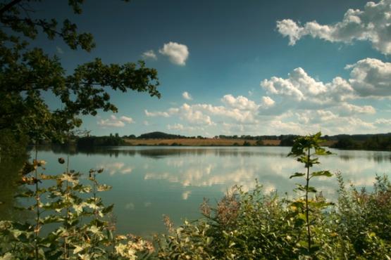 Přírodní rezervace Amerika