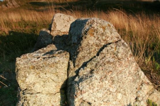 Národní přírodní památka Křížky 2